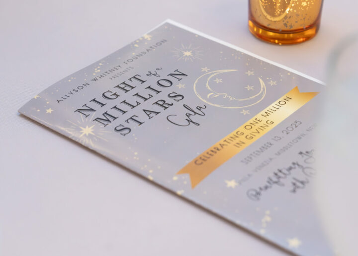 Allyson Whitney Foundation Night of a Million Stars Event Program
