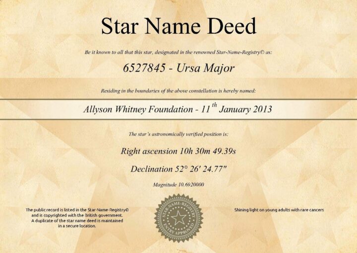 Allyson Whitney Foundation – A Literal Star in the Sky