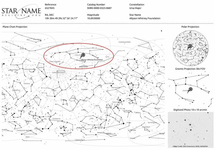 Allyson Whitney Foundation – A Literal Star in the Sky